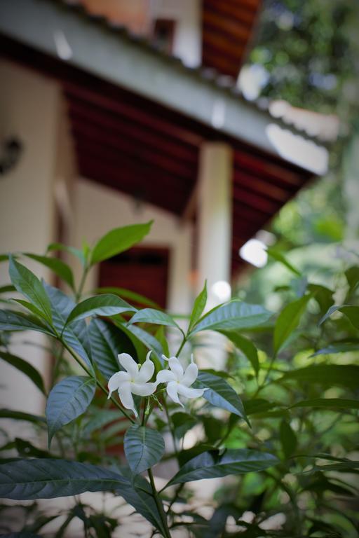 Binara Home Stay Polonnaruwa Exteriör bild