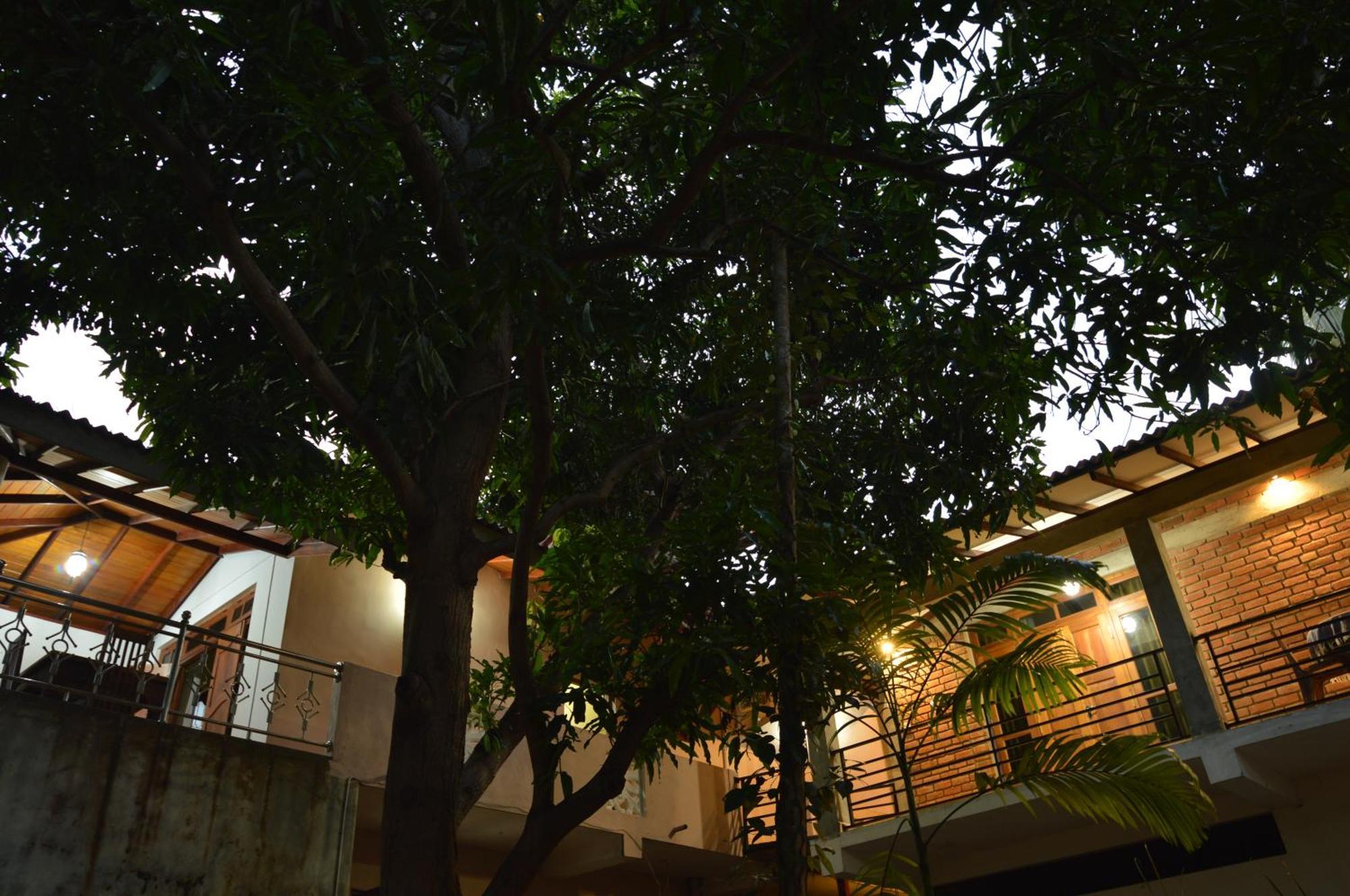 Binara Home Stay Polonnaruwa Exteriör bild