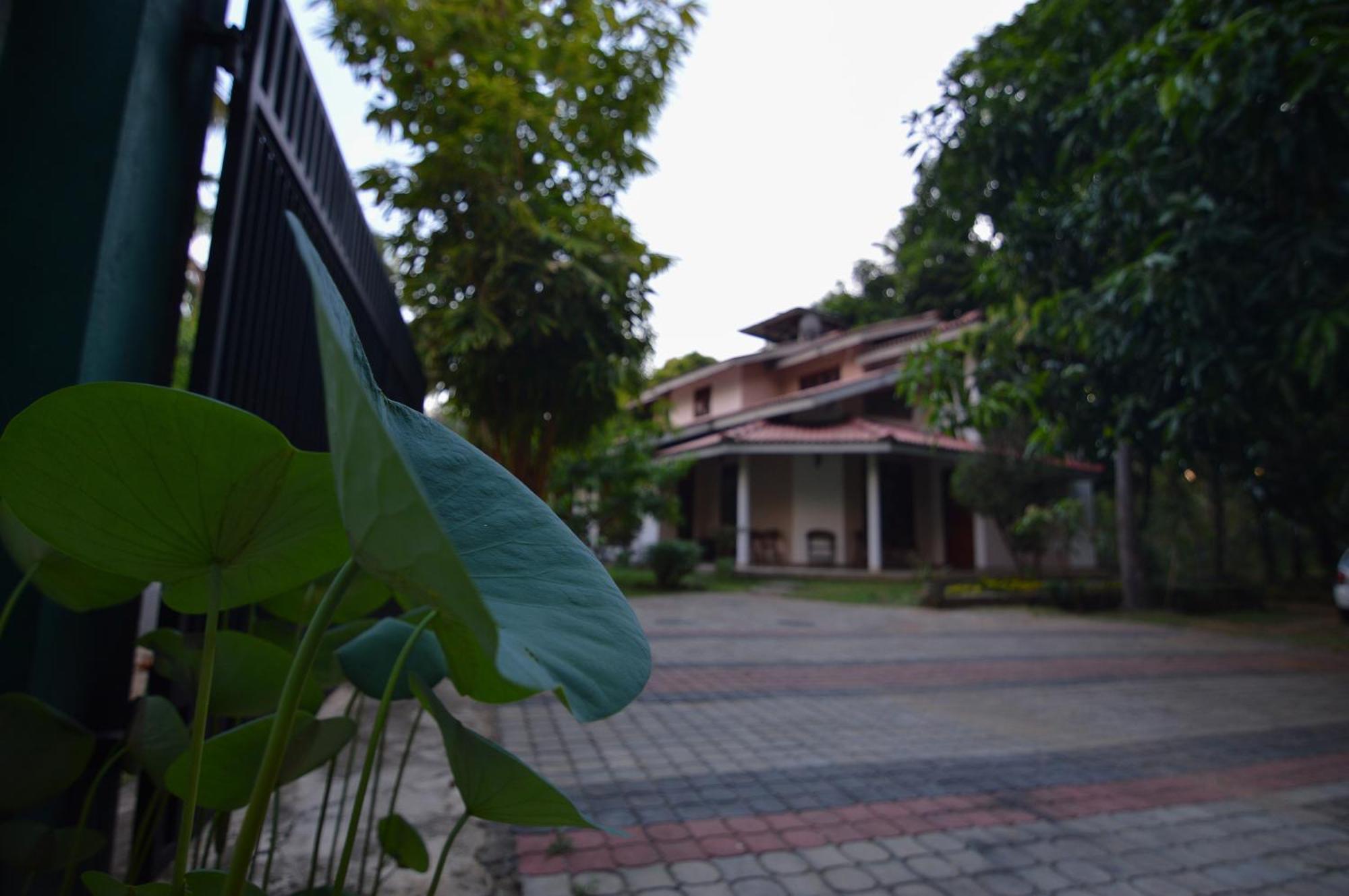 Binara Home Stay Polonnaruwa Exteriör bild