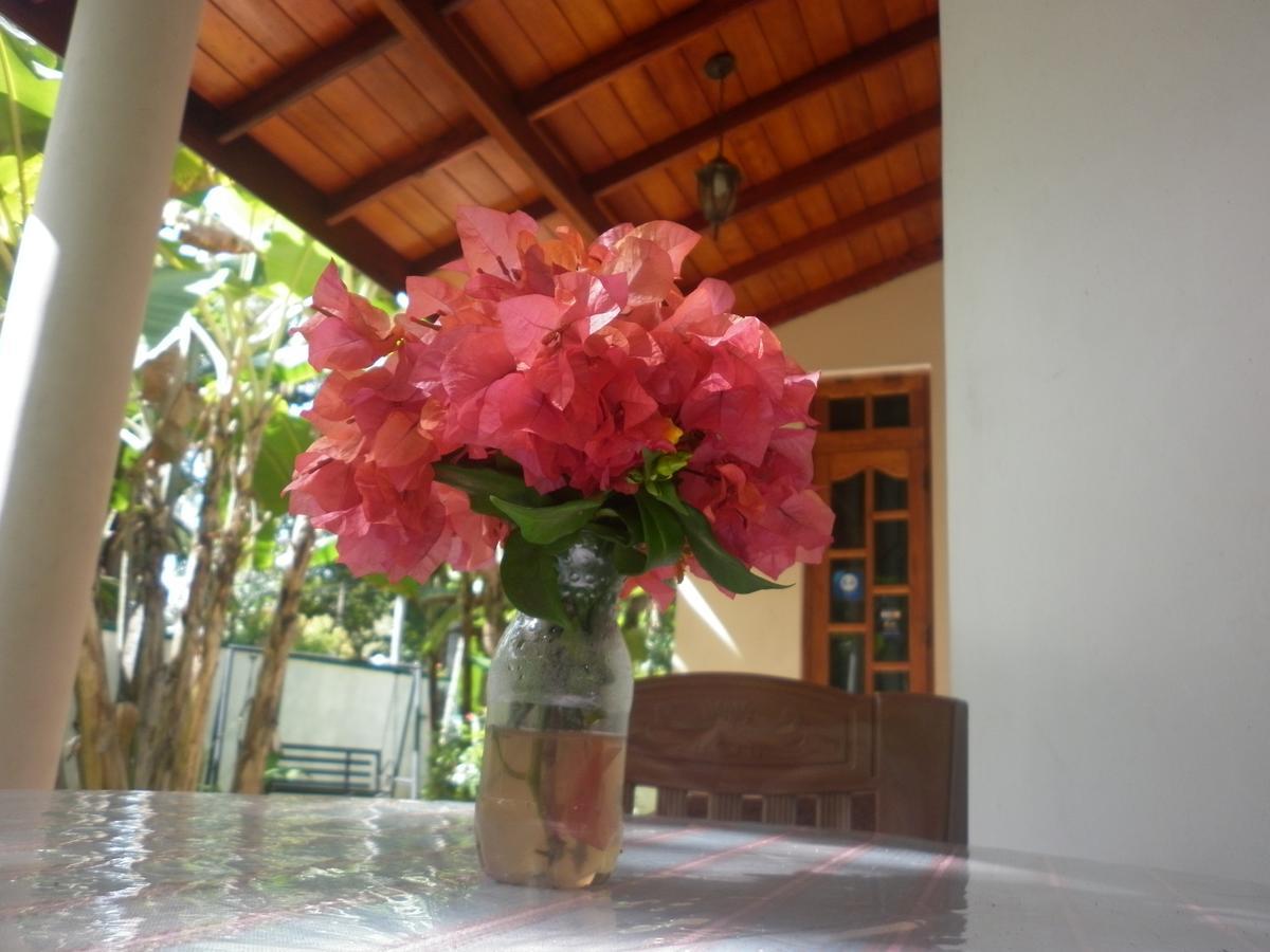 Binara Home Stay Polonnaruwa Exteriör bild